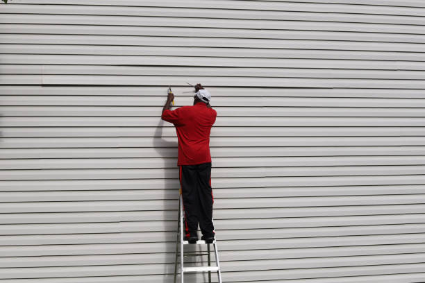 Best Siding Removal and Disposal  in Birchwood Lakes, PA